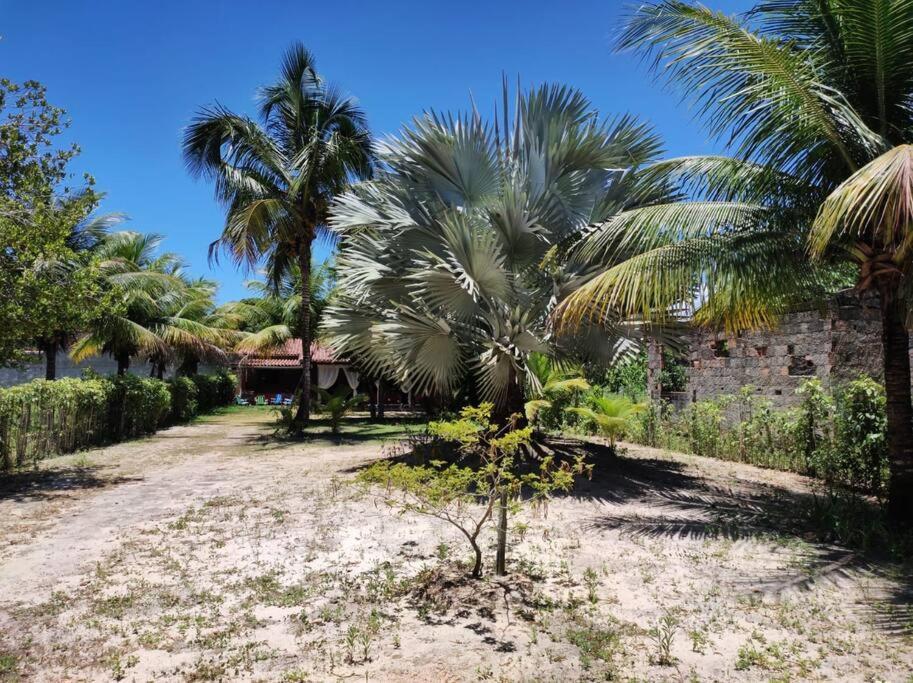 Casa Cumuruxatiba, Natureza E Charme מראה חיצוני תמונה